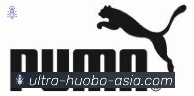 火博体育官网合作伙伴